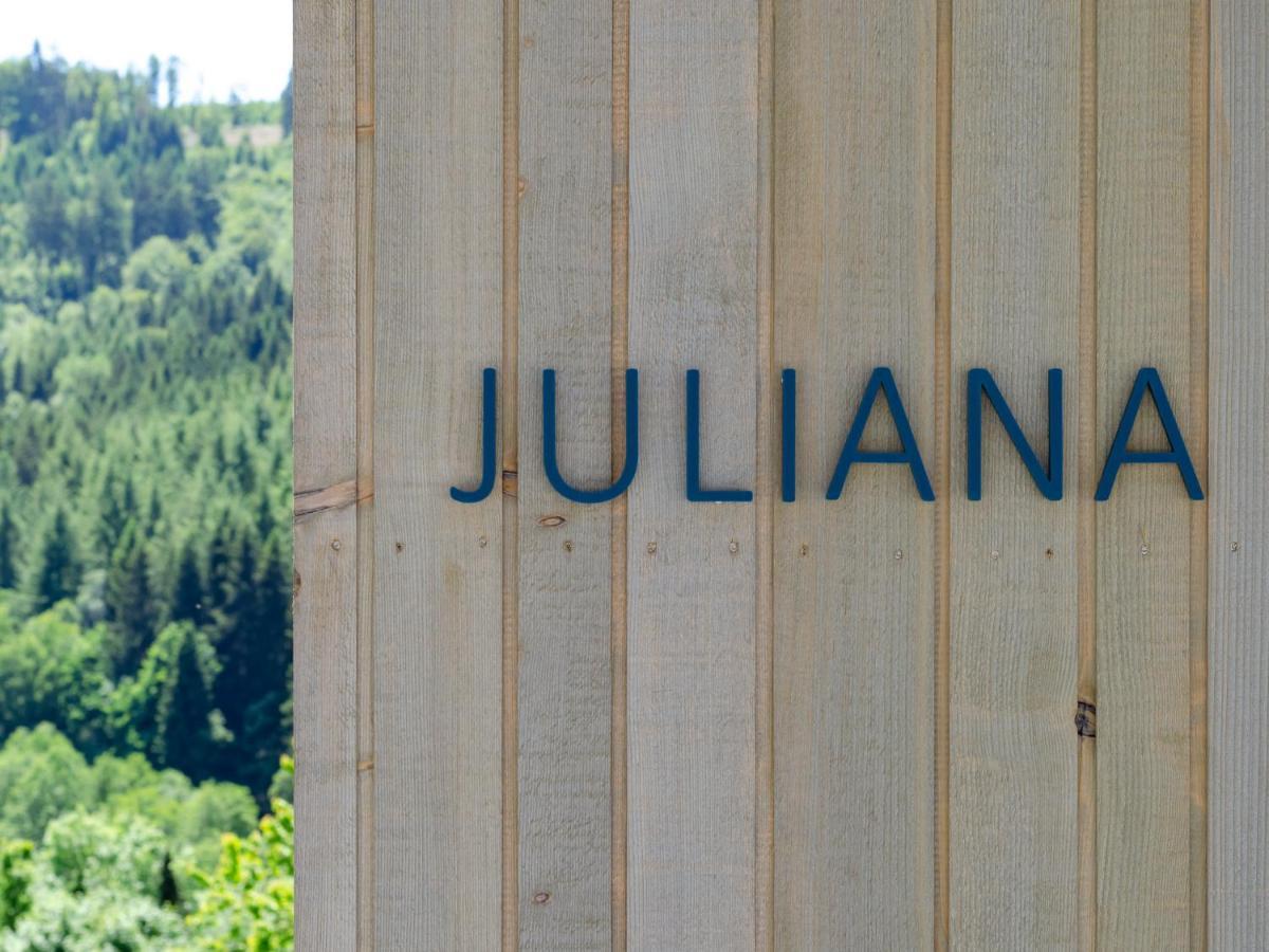Sauerland - Haus Juliana Ferienhaus