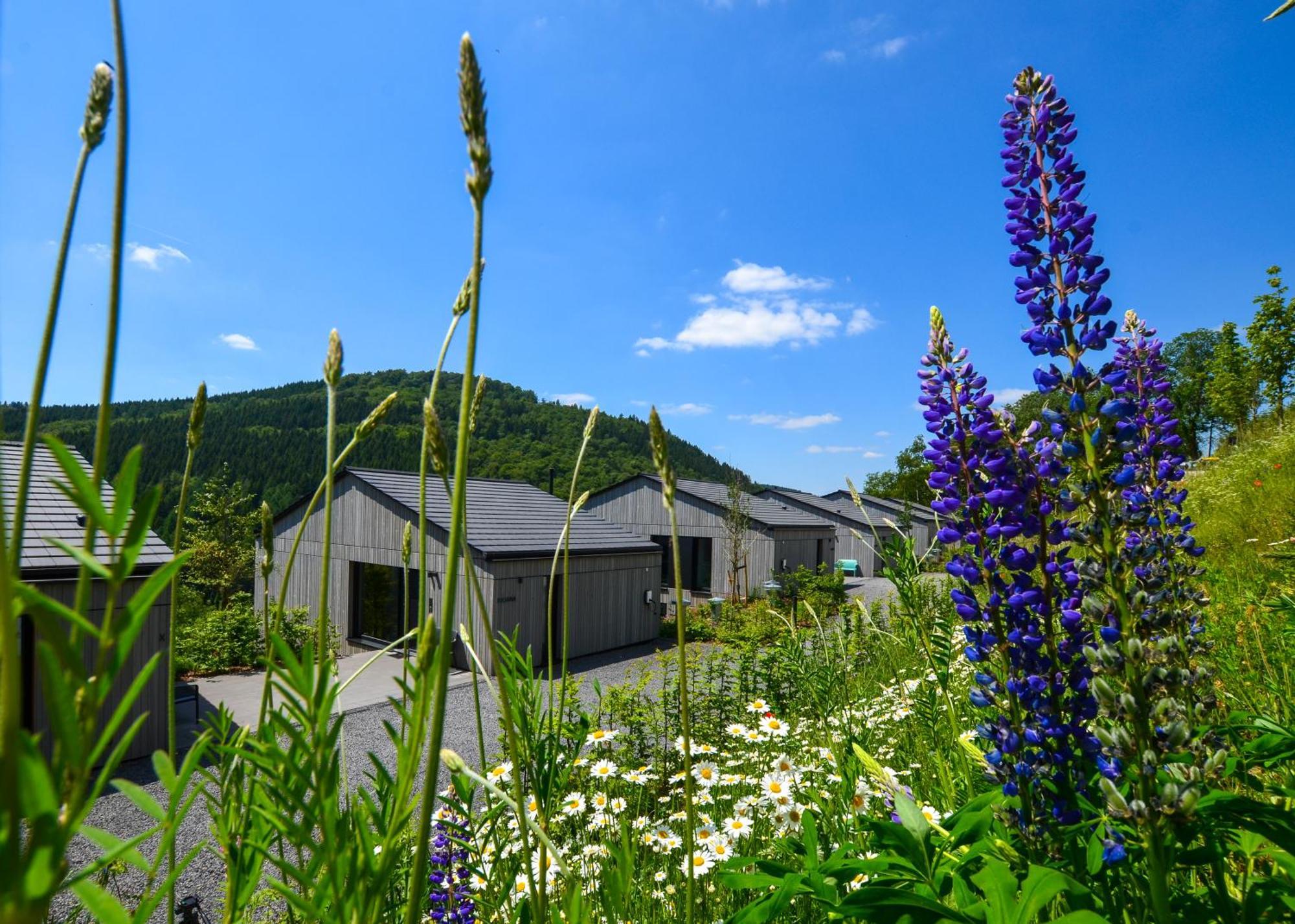 Sauerland - Haus Juliana Winterberg